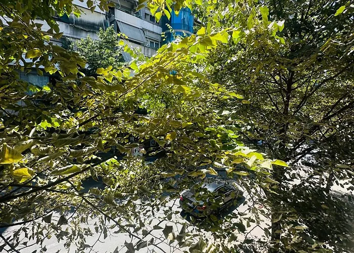 Sunlight & Comfort Flat 4 Pax * Tirana